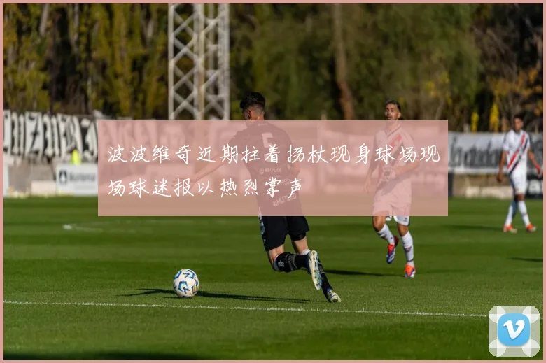 波波维奇近期拄着拐杖现身球场现场球迷报以热烈掌声