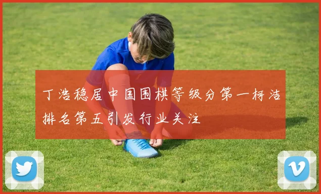 丁浩稳居中国围棋等级分第一柯洁排名第五引发行业关注