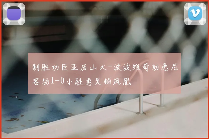 制胜功臣亚历山大-波波维奇助悉尼客场1-0小胜惠灵顿凤凰