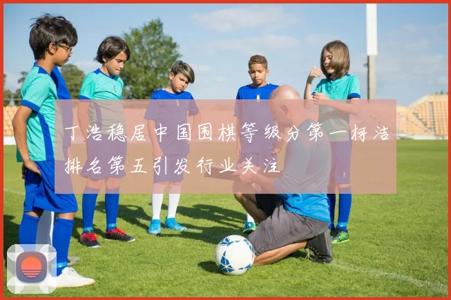 丁浩稳居中国围棋等级分第一柯洁排名第五引发行业关注