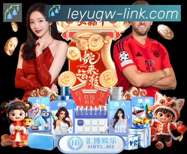 未来规划