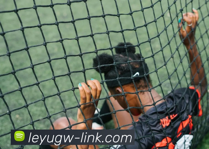 App Interface Preview