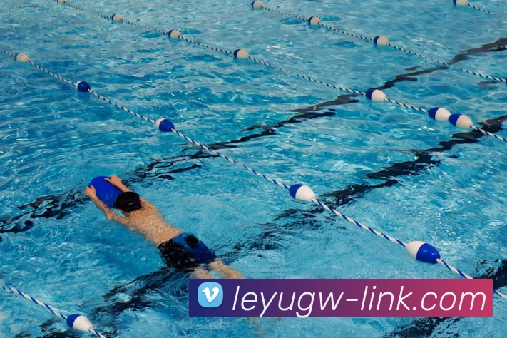 多媒体互动体验